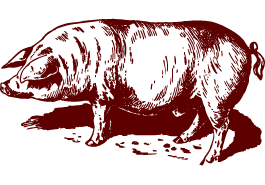 Imagem
de um porco